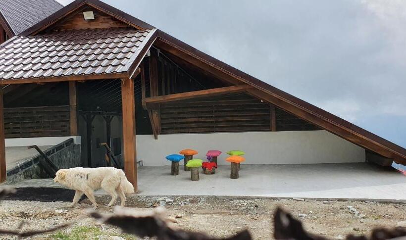 ペンション Cabana Rares