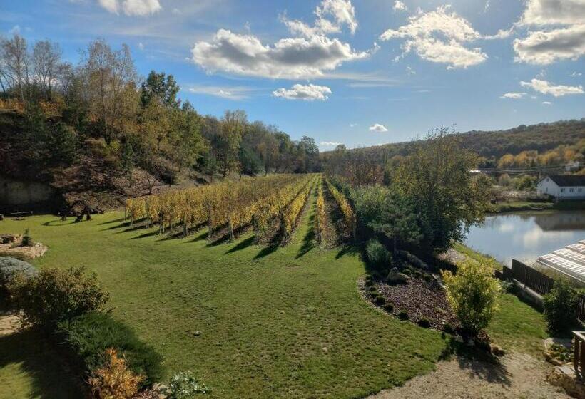 펜션 Penzion Ve Vinohradě