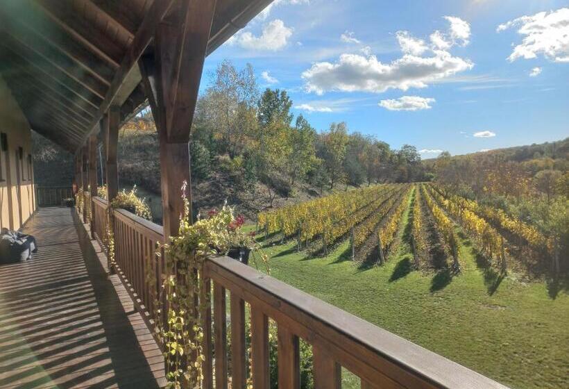 פנסיון Penzion Ve Vinohradě