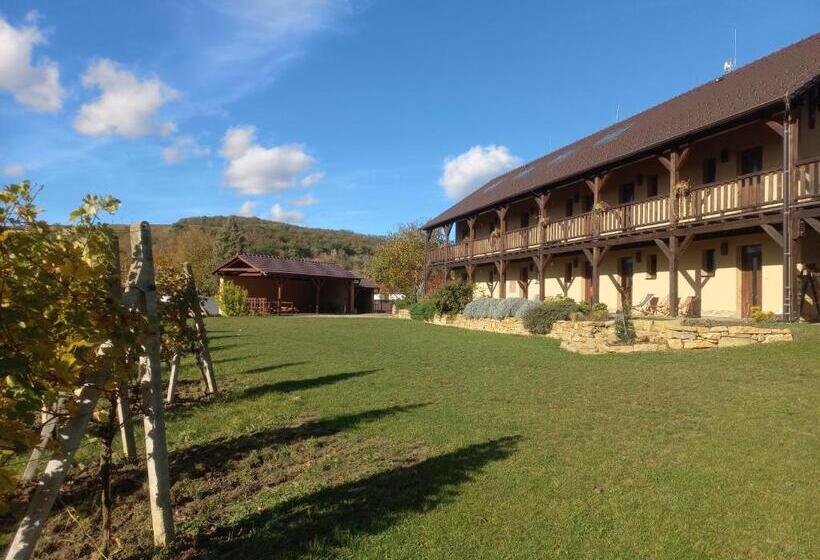 פנסיון Penzion Ve Vinohradě