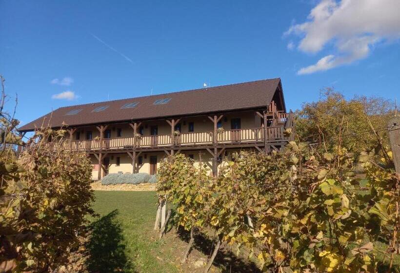 פנסיון Penzion Ve Vinohradě