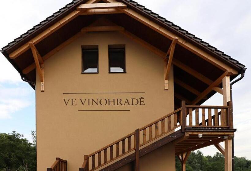 פנסיון Penzion Ve Vinohradě