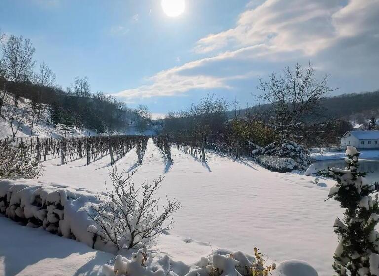 Пансион Penzion Ve Vinohradě