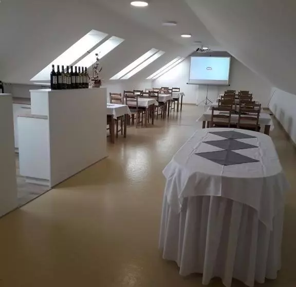 ペンション Penzion Ve Vinohradě