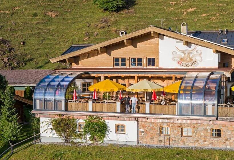 هاستل Gasthof Ochsalm