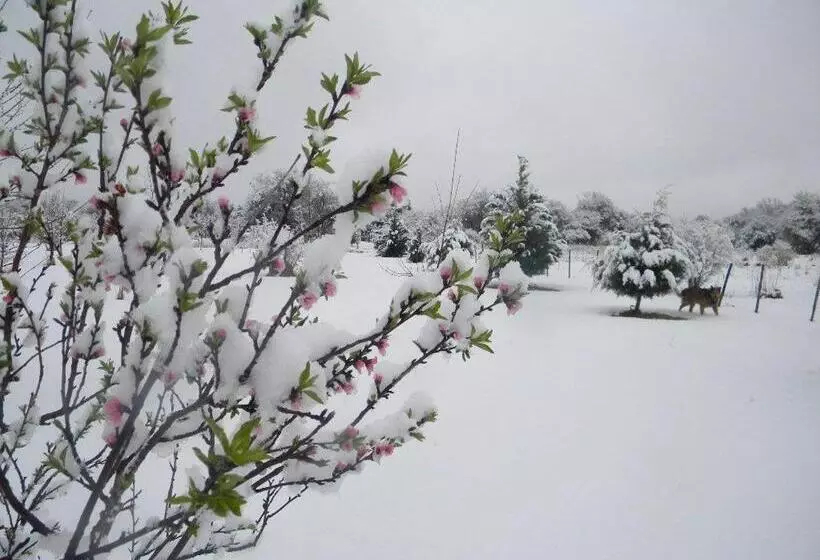 Retkeilymaja Wayra Pampa Posada & Aparts