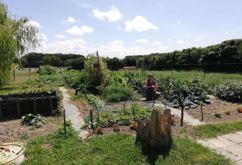 تختخواب و صبحانه Chambres D Hôtes  Le Clos Des Colimaçons