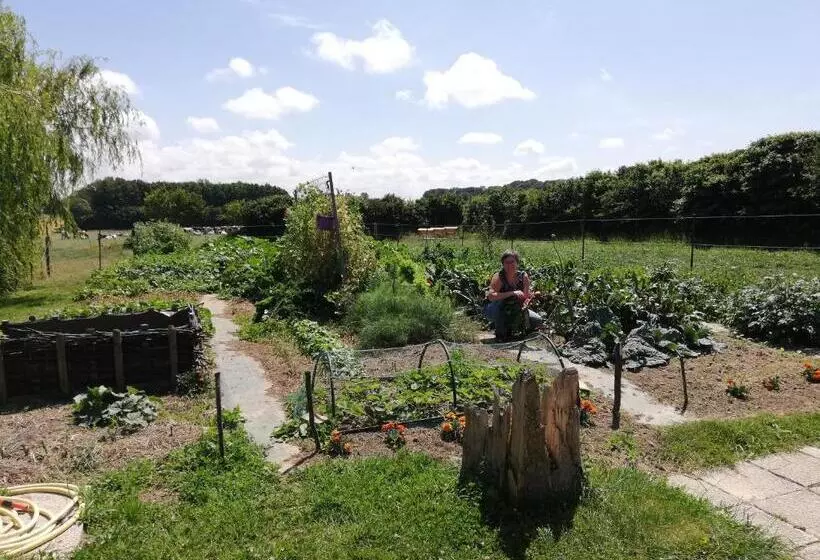 Aamiaismajoitus (B&B) Chambres D Hôtes  Le Clos Des Colimaçons