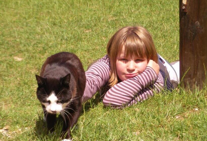 تختخواب و صبحانه Chambres D Hôtes  Le Clos Des Colimaçons