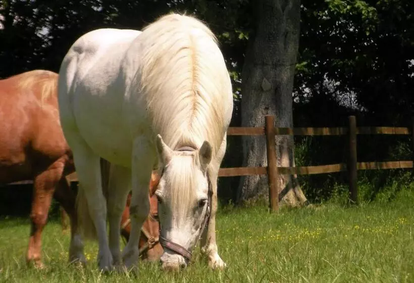 Aamiaismajoitus (B&B) Chambres D Hôtes  Le Clos Des Colimaçons