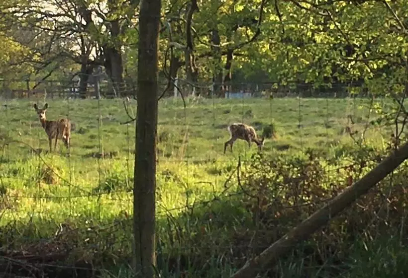 تختخواب و صبحانه Fernwood