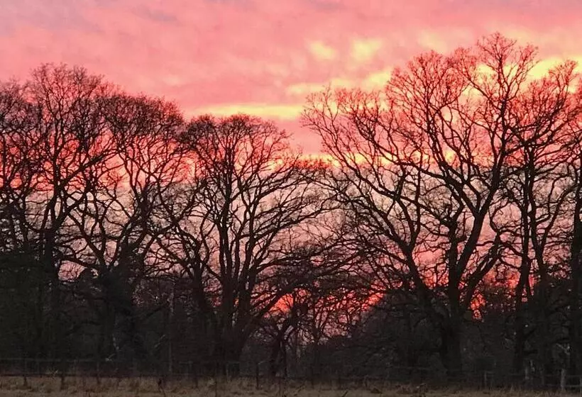 تختخواب و صبحانه Fernwood