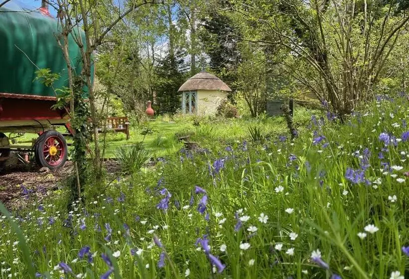 تختخواب و صبحانه Fernwood