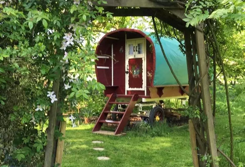 تختخواب و صبحانه Fernwood