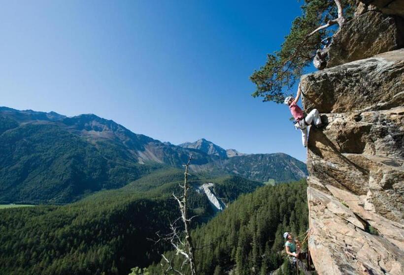 Bed and Breakfast Gästehaus Riml