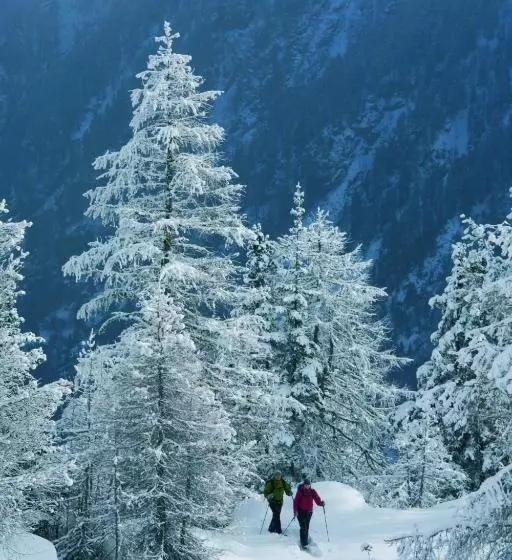 Aamiaismajoitus (B&B) Gästehaus Riml