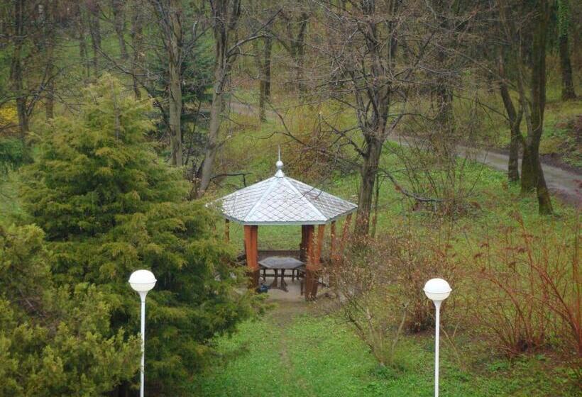 ホテル балнеохотел люляци