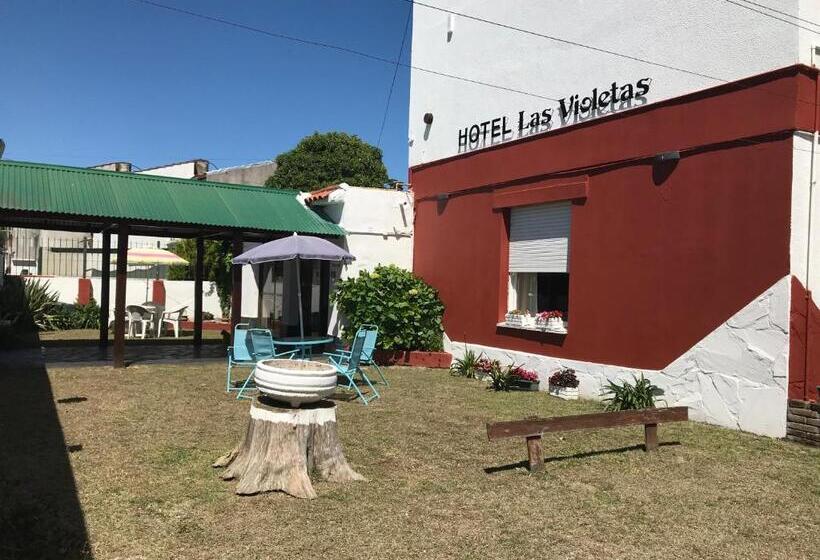 Hotel Las Violetas