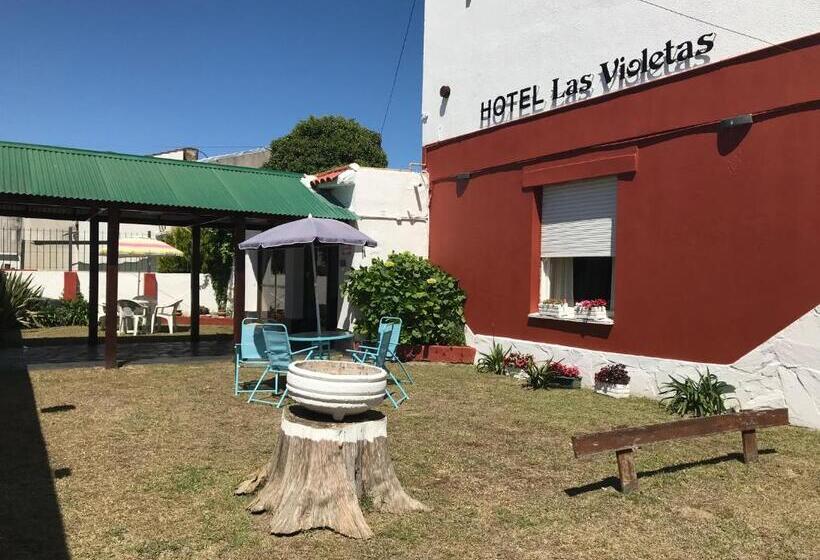 Hotel Las Violetas