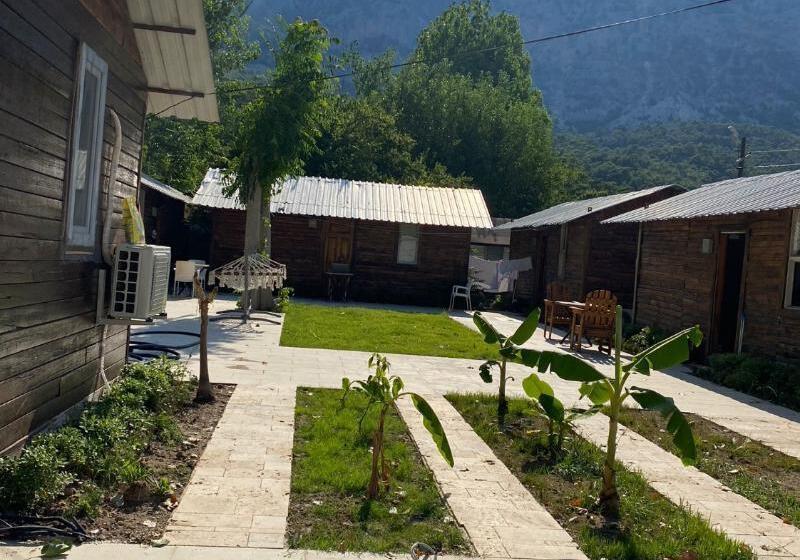 فندق Lime Tree Houses