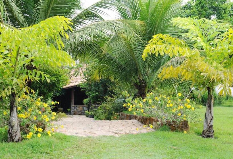 Отель Muiraquitã