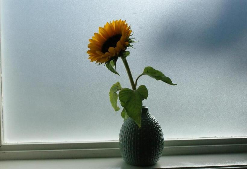 پانسیون Beach Break Zandvoort