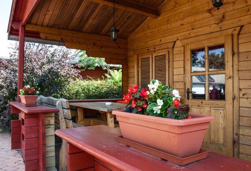 פנסיון Dunai Gyöngy Vendégház