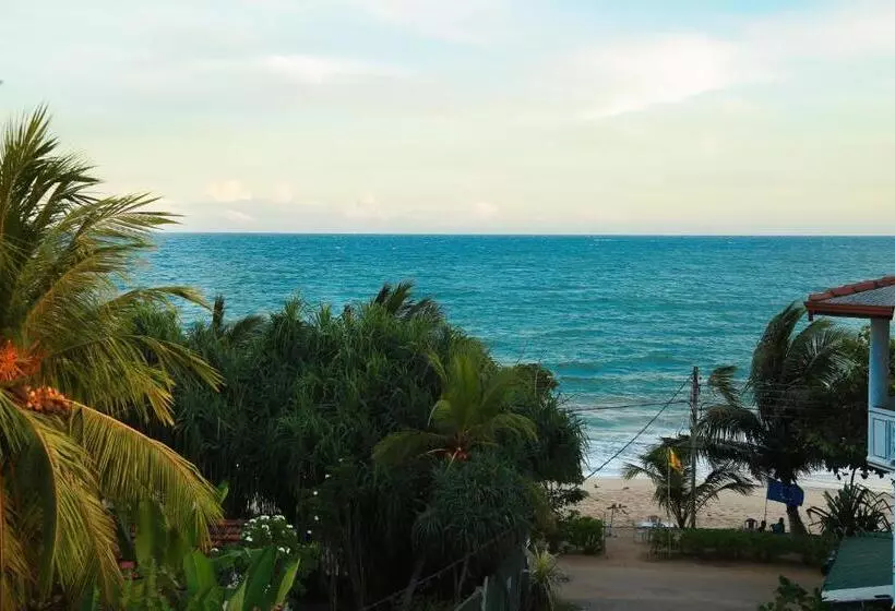 Majatalo Four Season Guest House