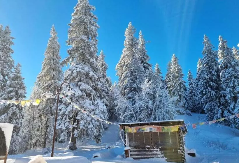 ペンション Hôtel Restaurant Du Marchairuz