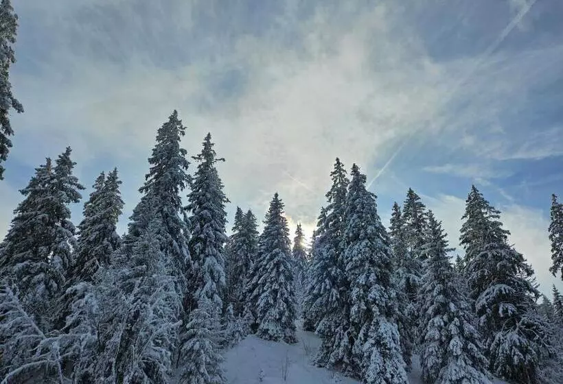 ペンション Hôtel Restaurant Du Marchairuz