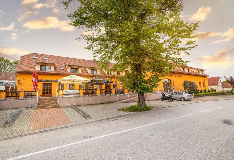 פנסיון Pelikan Purkarec