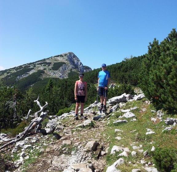 پانسیون Turistična Kmetija Zgornji Zavratnik