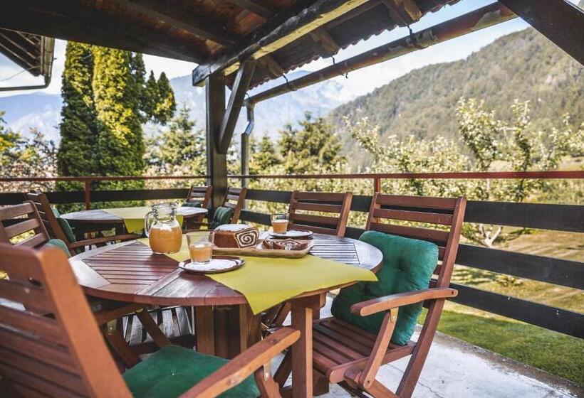 پانسیون Turistična Kmetija Zgornji Zavratnik