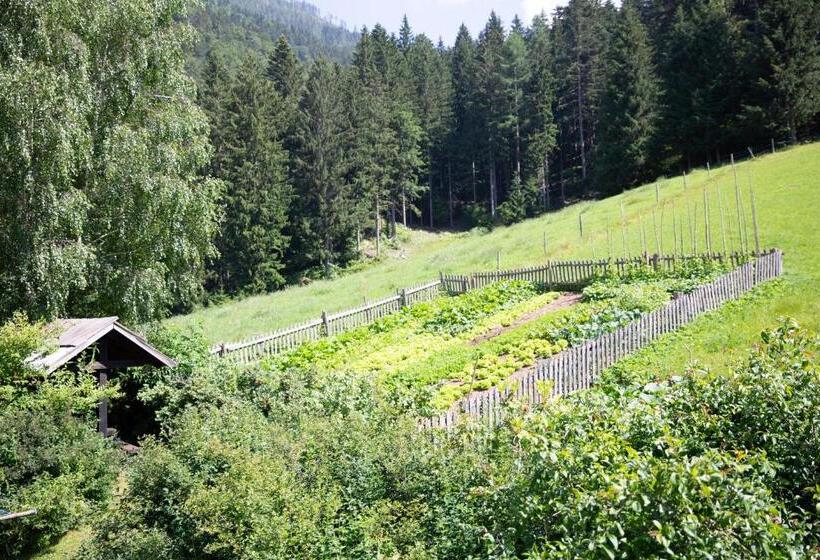 پانسیون Turistična Kmetija Zgornji Zavratnik