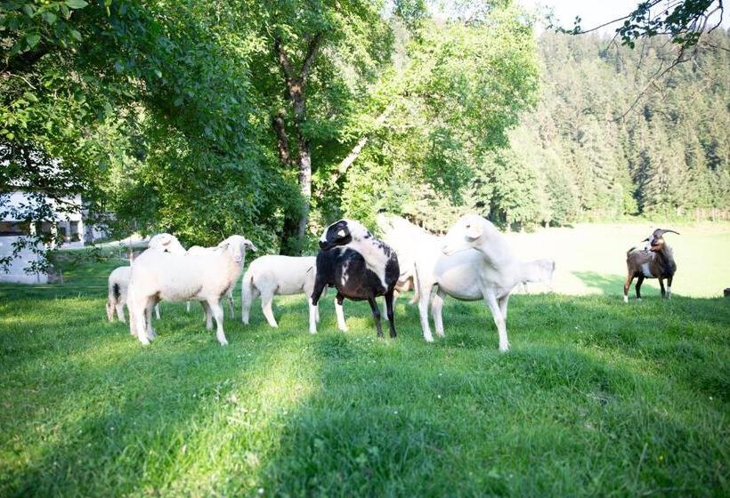 پانسیون Turistična Kmetija Zgornji Zavratnik