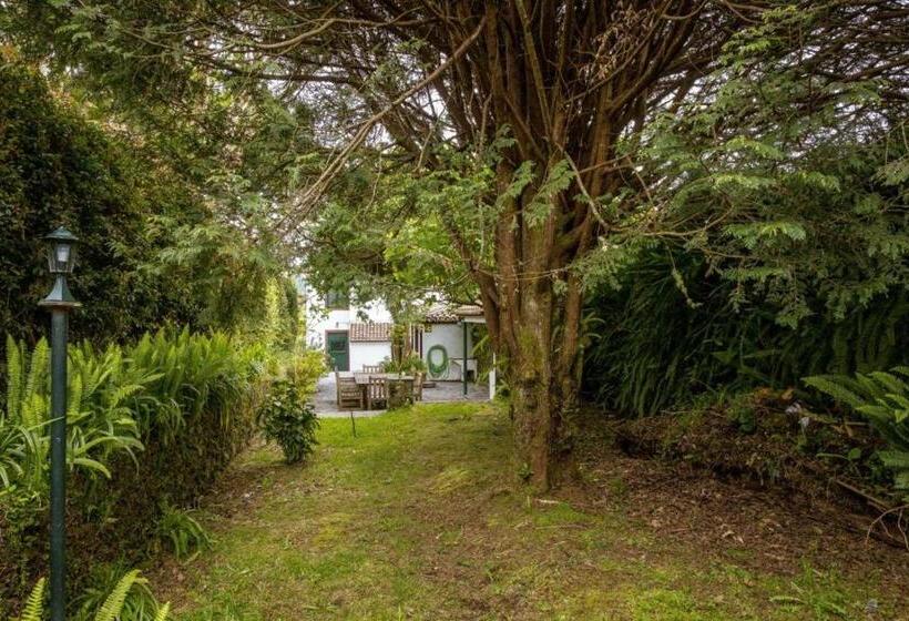 膳宿费 Welcomebuddy   O Moinho