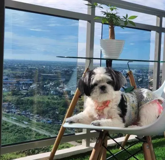 Azure North   Executive Suite