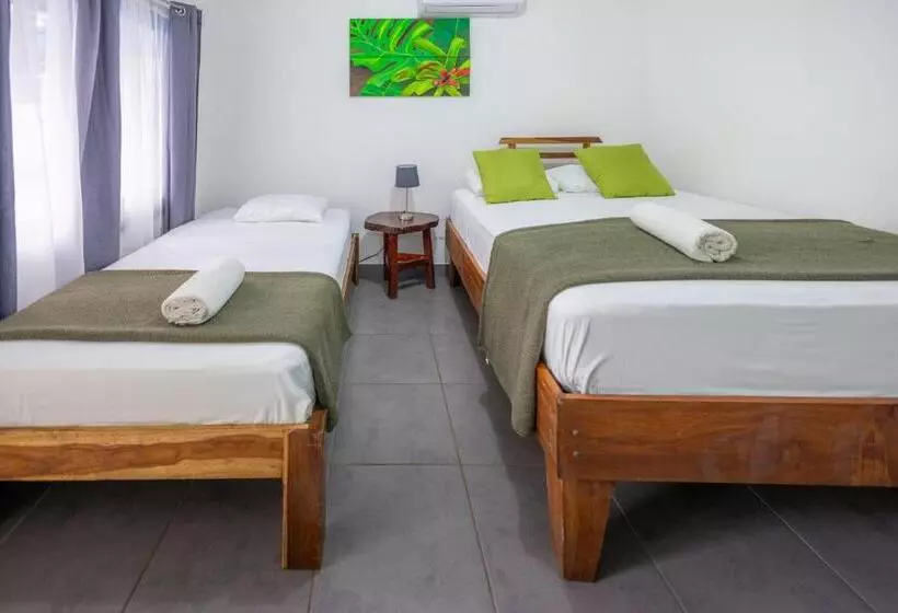 هتل La Casona Eco Lodge Tortuguero