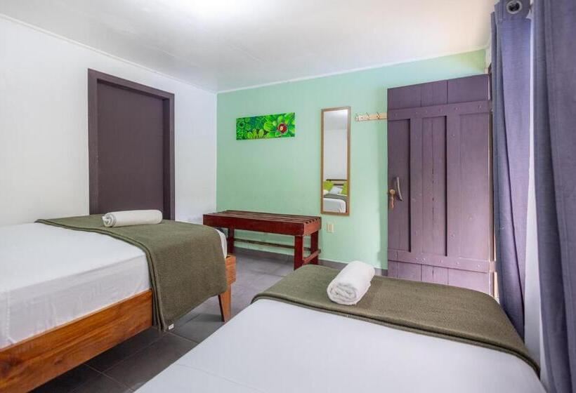 هتل La Casona Eco Lodge Tortuguero