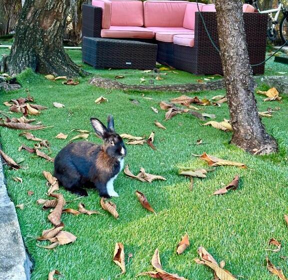 פנסיון Miami House 2