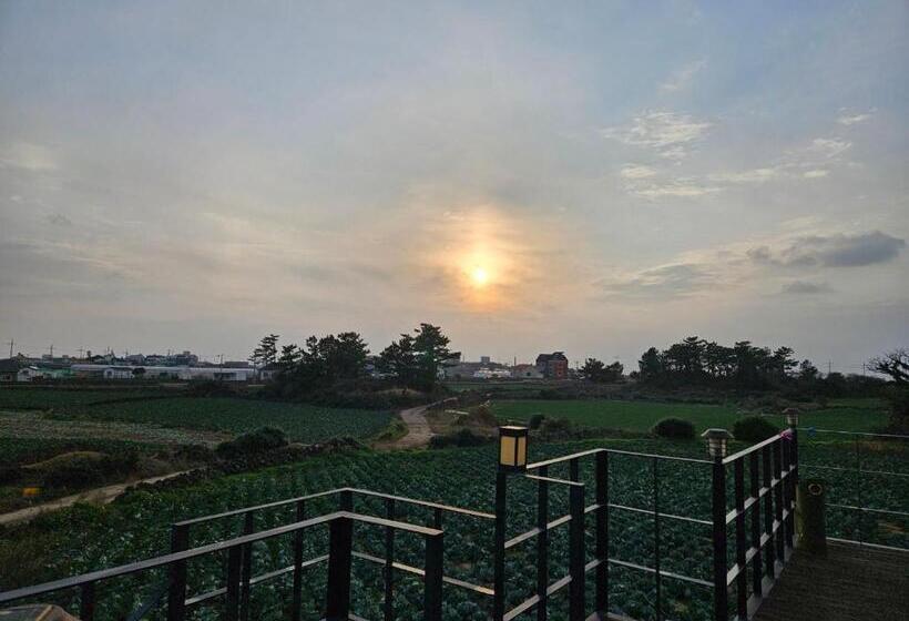 Pension Mo Guesthouse