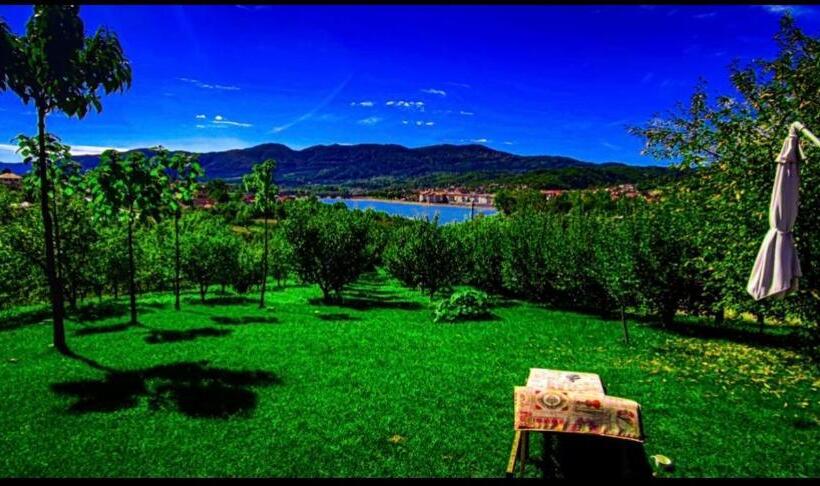 Пансион Upforest Guesthouse