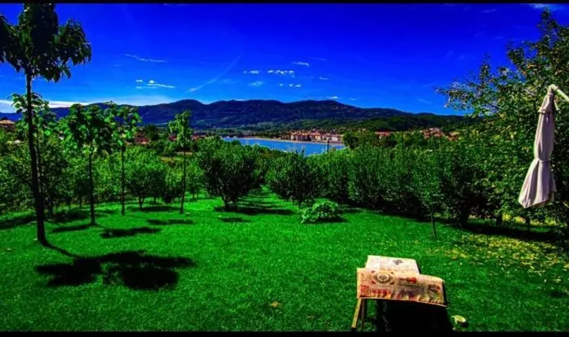 پانسیون Upforest Guesthouse