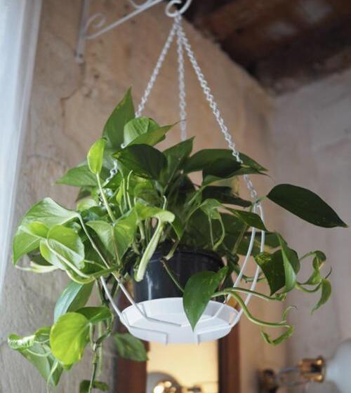 تختخواب و صبحانه At Home In Arles