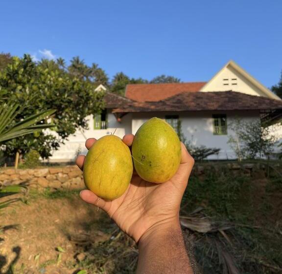 호텔 Calm Shack   2 Bedroom Boutique Farm Stay