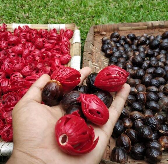 호텔 Calm Shack   2 Bedroom Boutique Farm Stay