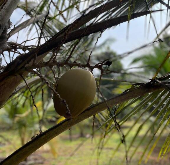 호텔 Calm Shack   2 Bedroom Boutique Farm Stay