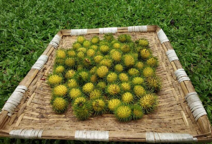 호텔 Calm Shack   2 Bedroom Boutique Farm Stay