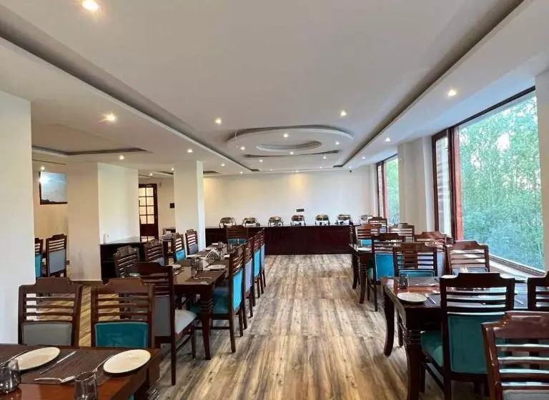 Hotelli Maryul Kargil