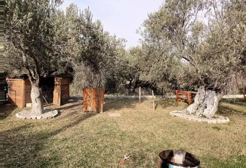 ホテル Medila Yaşlı Yaşam Ve Bakım Merkezi